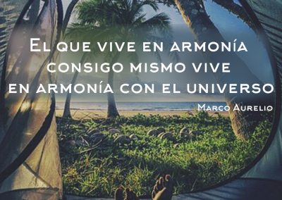 frases motivacionales