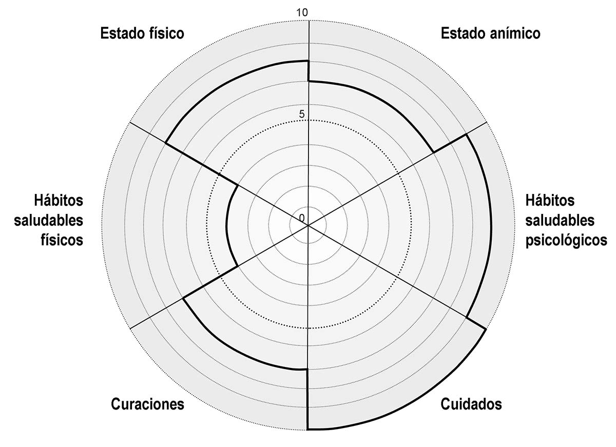 Plantilla rueda de la salud