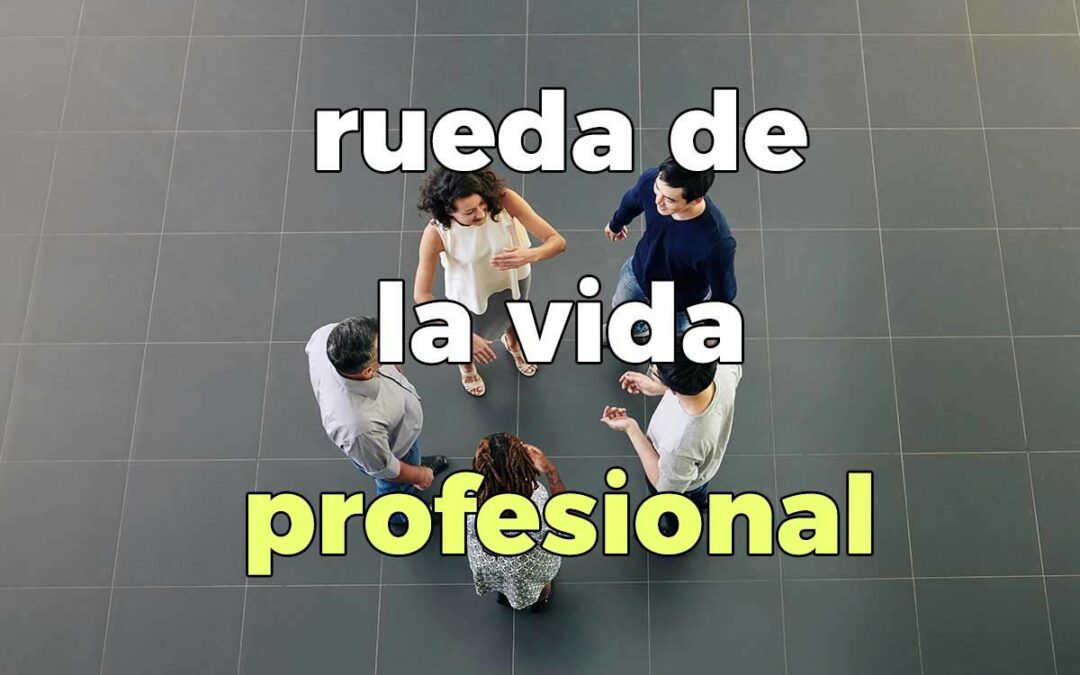 Rueda de la vida profesional