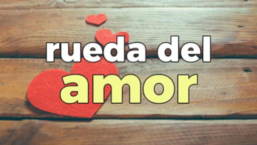 rueda del amor de la organización