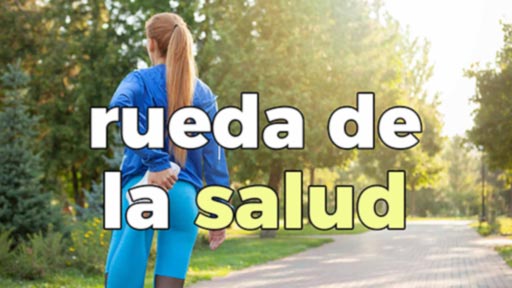 rueda de la salud