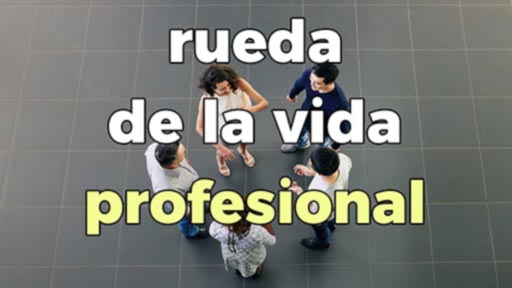 vida profesional